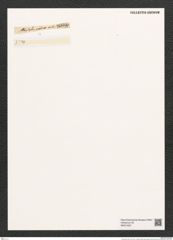 Diatomeae indet. (de-Toni-Nr.: Species 2968) Zeichnungen Sammlung Grunow (NHMW-BOT-W0374557)